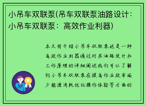 小吊车双联泵(吊车双联泵油路设计：小吊车双联泵：高效作业利器)