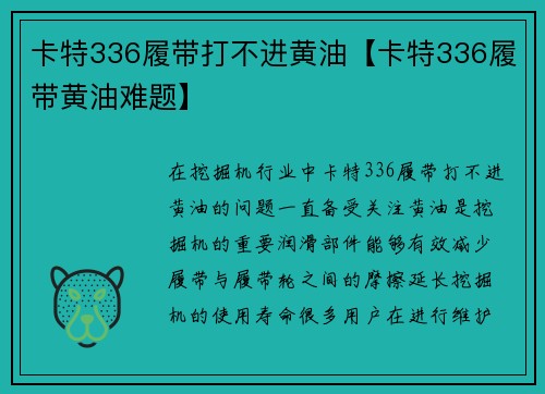 卡特336履带打不进黄油【卡特336履带黄油难题】