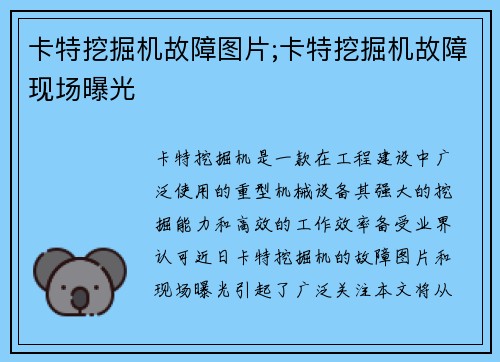 卡特挖掘机故障图片;卡特挖掘机故障现场曝光