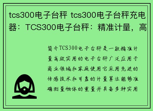 tcs300电子台秤 tcs300电子台秤充电器：TCS300电子台秤：精准计量，高效实用